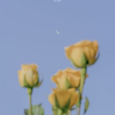 葫芦小英雄手游正版(暂未上线)v1.0.1 官方安卓版