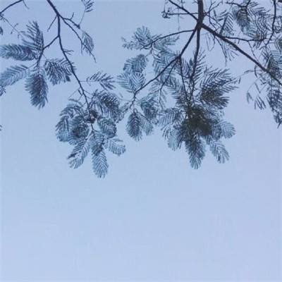 梦幻江湖侠客行手机游戏(暂未上线)v1.0.2 安卓版